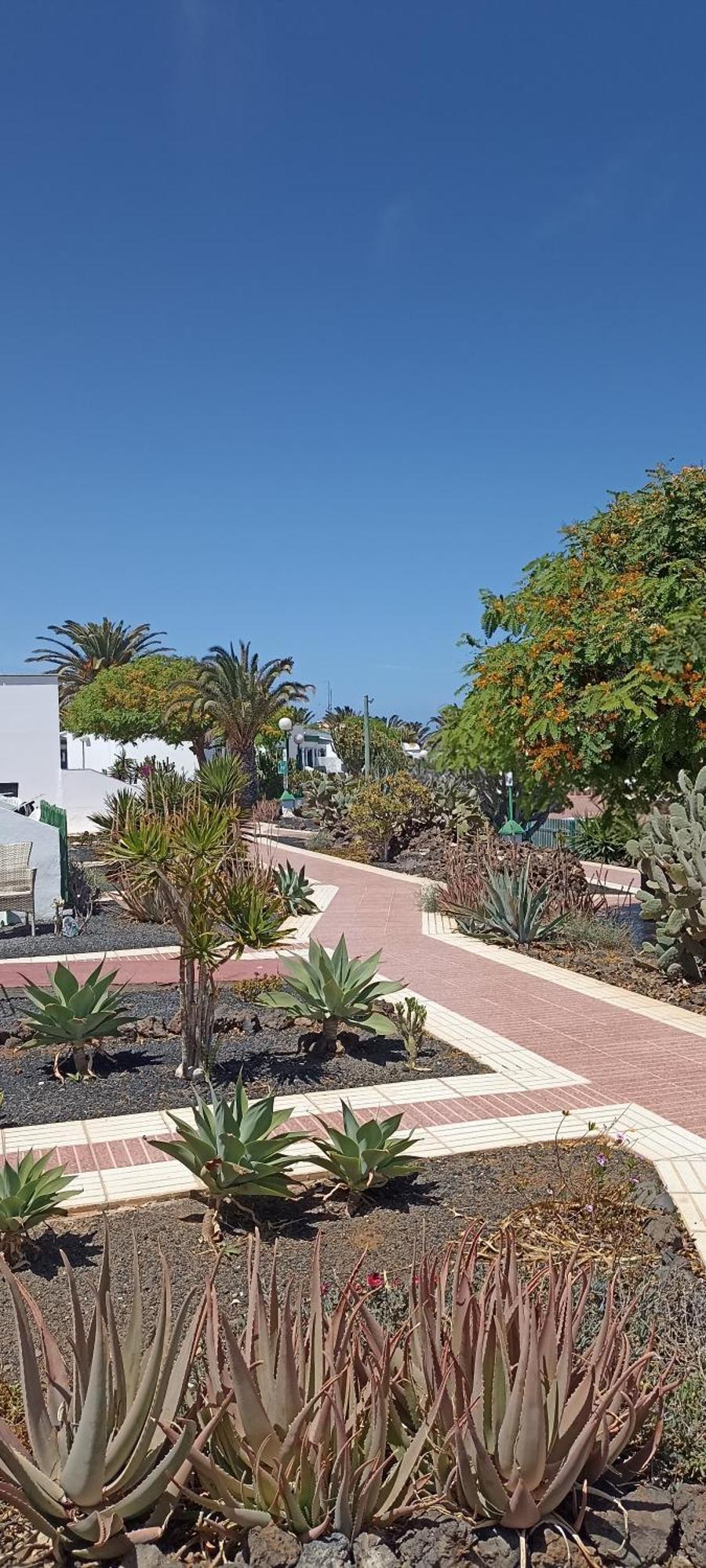 Villa Casa Gioeli Cocosol Costa De Antigua Esterno foto