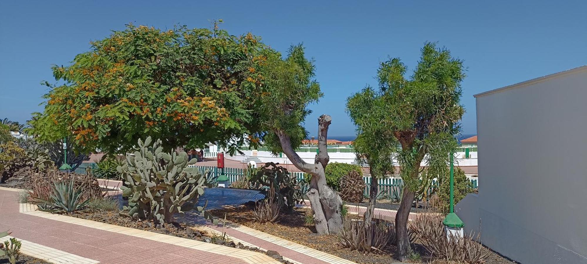 Villa Casa Gioeli Cocosol Costa De Antigua Esterno foto